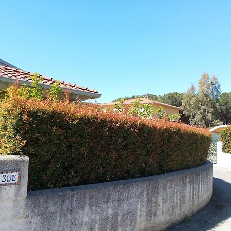 Brenda Villa Pizzo (Calabria)